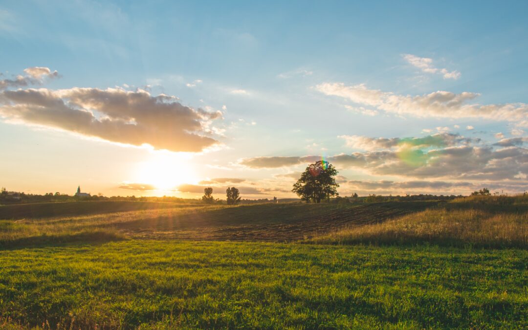 Recent Federal Court Ruling Reinforces Wetland Conservation Compliance Under Swampbuster Provisions of the Farm Bill