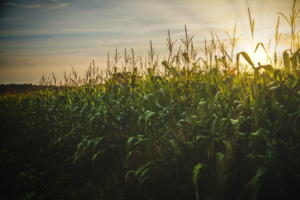 Agricultural Law