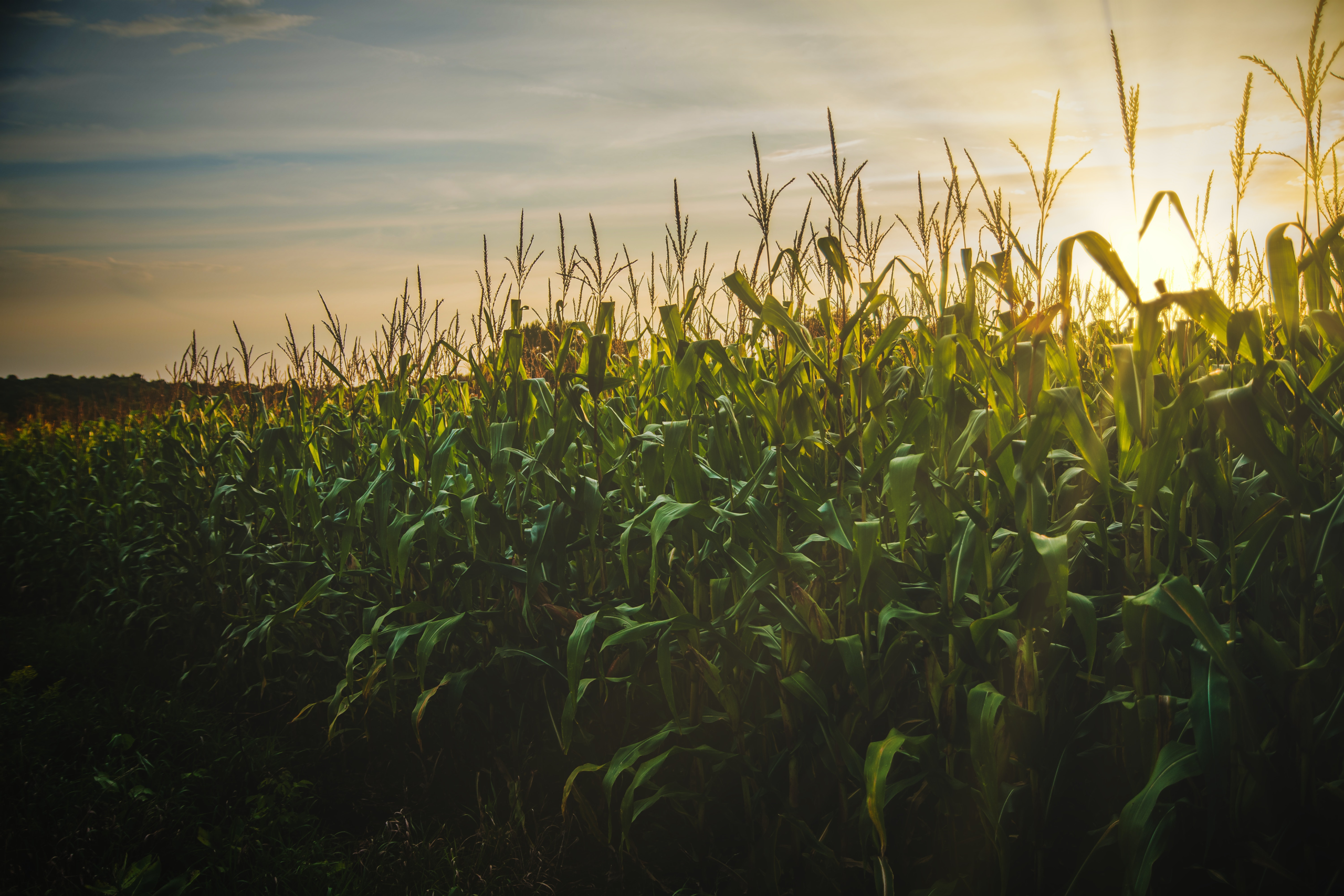 Agricultural Law